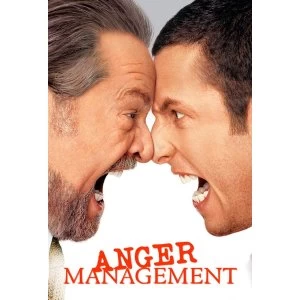 Image of Anger Management DVD