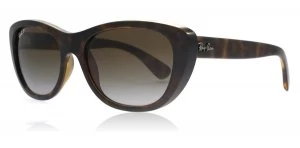 Ray-Ban RB4227 Sunglasses Tortoise 710/T5 Polariserade 55mm