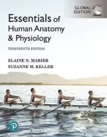 Image of Essentials of Human Anatomy & Physiology, Global Edition