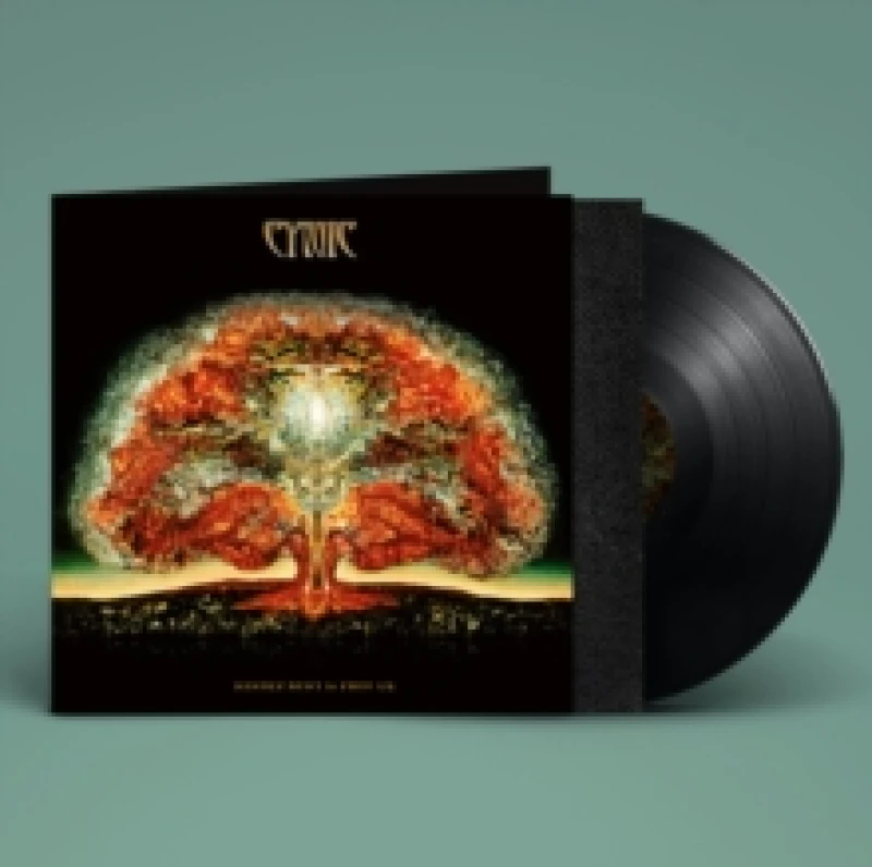 Image of Kindly Bent to Free Us Vinyl