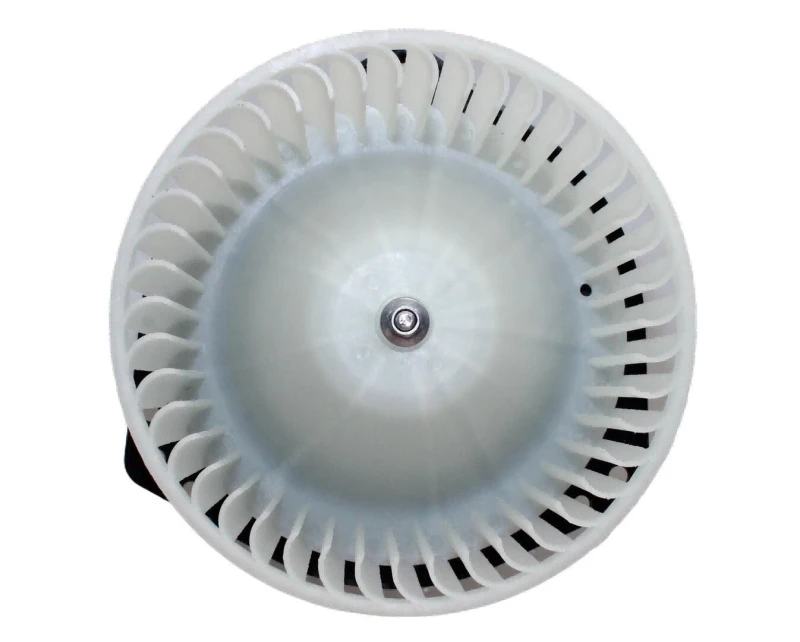 Image of Blower motor WALKER WBL01189