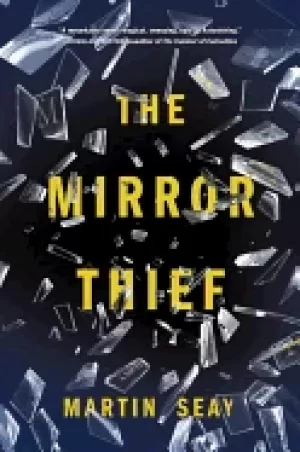 Image of mirror thief