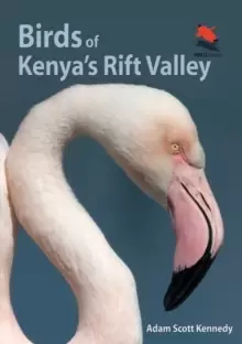 Image of Birds of Kenya's Rift Valley