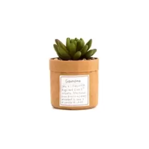 Image of Plant Kindness - Grandma