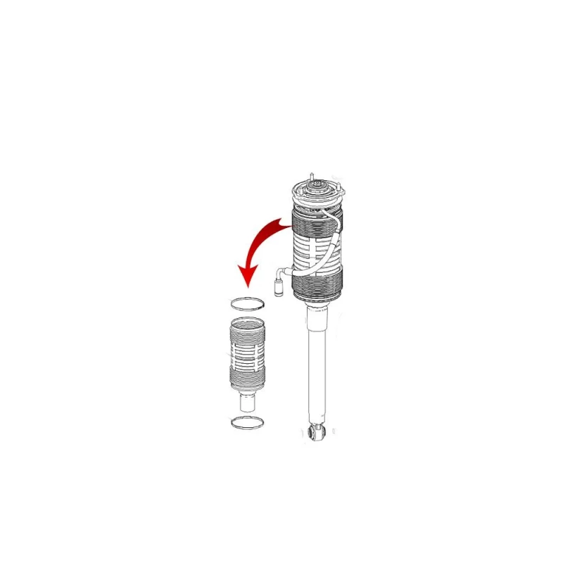 Image of MiesslerAutomotive Air suspension strut MiesslerAutomotive 31171-01-0037