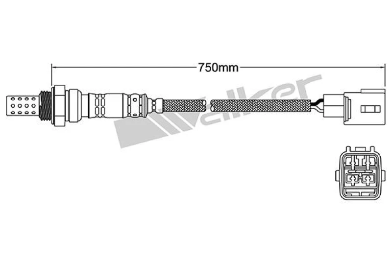 Image of Lambda sensor VEGAZ DLS-128