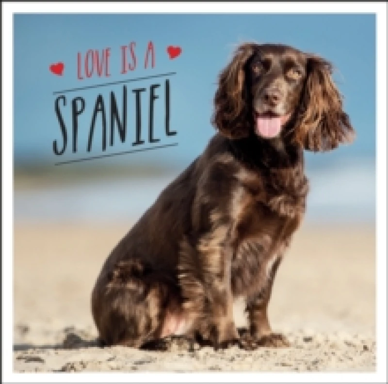 Image of Love is a Spaniel : A Dog-Tastic Celebration of the Worlds Most Lovable Breed Hardback