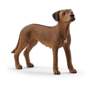 Image of Schleich Farm World - Rhodesian Ridgeback Figure