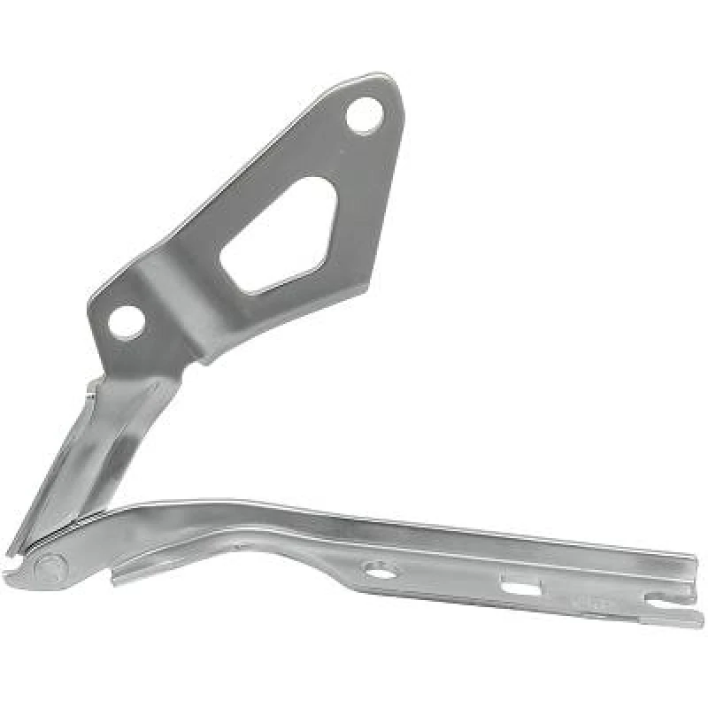 Image of Hinge, bonnet DIEDERICHS 2256018