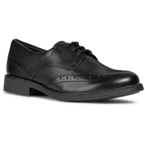 Image of Geox Girls J Agata D Lace Up Leather Brogue School Shoes UK Size 4 (EU 37)