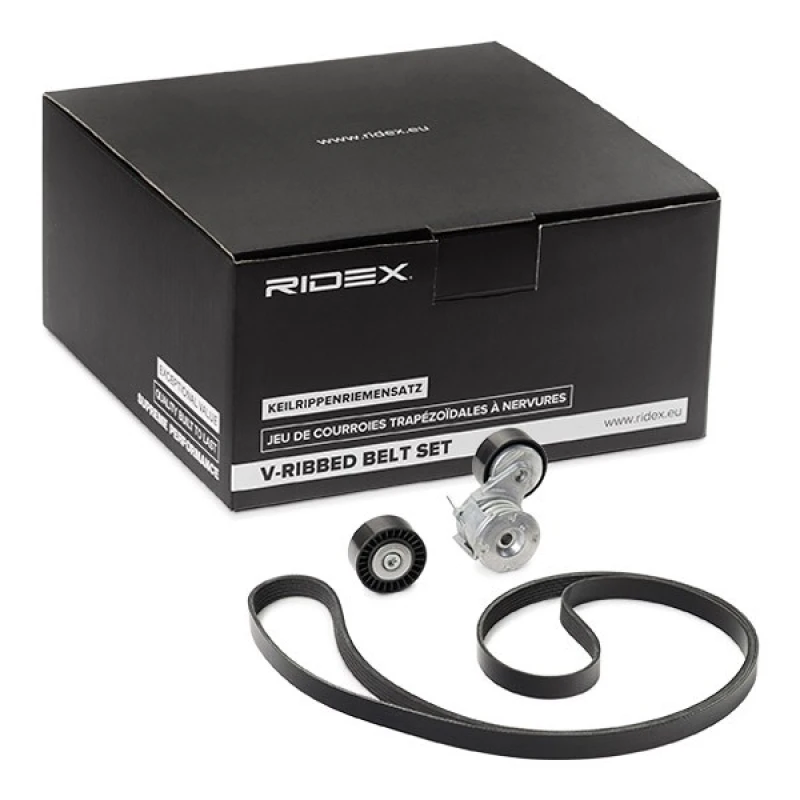 Image of RIDEX 542R0186 V-ribbed belt set V-Ribbed Belt Set (542)