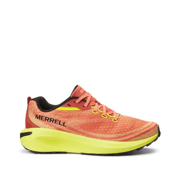 Image of Morphlite Trainers
