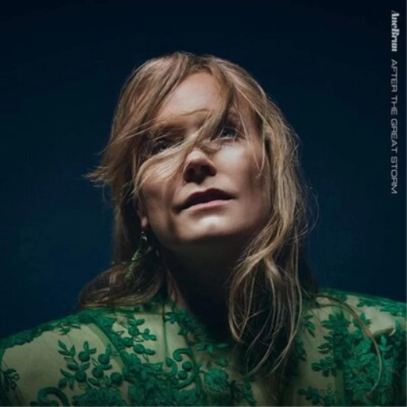 Image of After the Great Storm CD / Album