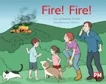 Image of PM YELLOW FIRE FIRE PM STORYBOOKS LEVEL
