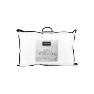 Image of Hungarian White Goose Down Pillow - Die Zudecke