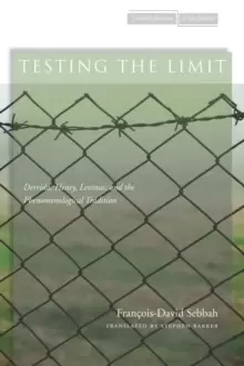 Image of Testing the Limit : Derrida, Henry, Levinas, and the Phenomenological Tradition
