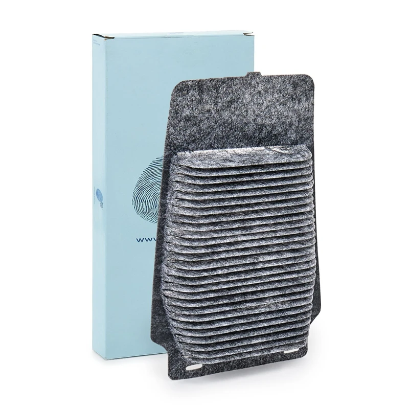 Image of Blue PRINT Pollen filter Blue PRINT ADBP250044