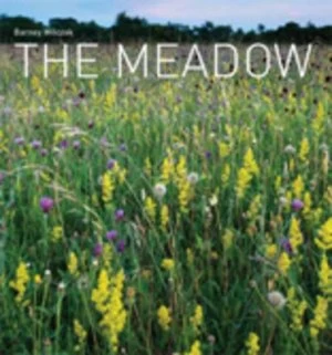Image of The Meadow by Barney Wilczak Hardback