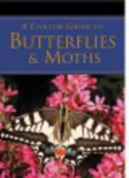 Image of A Concise Guide to Butterflies and Moths by Elizabeth Balmer Paperback
