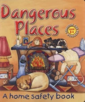 Image of Dangerous Places by Caroline Hardy Hardback
