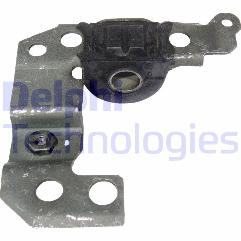 Image of DELPHI Trailing arm / Suspension arm bush DELPHI TD433W