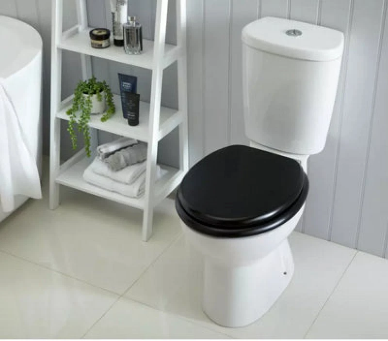 Image of Ashley 18" Toilet Seat - Black