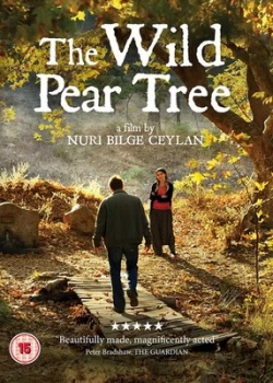 Image of The Wild Pear Tree - DVD