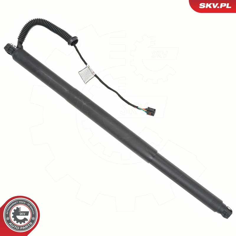 Image of ESEN SKV Electrical motor, tailgate ESEN SKV 52SKV198
