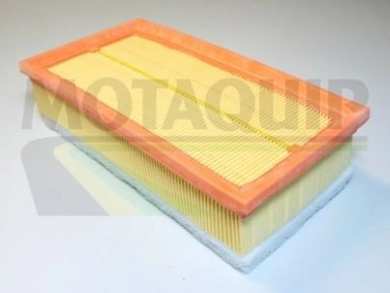 Image of MOTAQUIP Air filter MOTAQUIP VFA1051