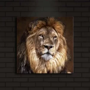 Image of 4040?ACT-20 Multicolor Decorative LED Lighted Canvas Painting