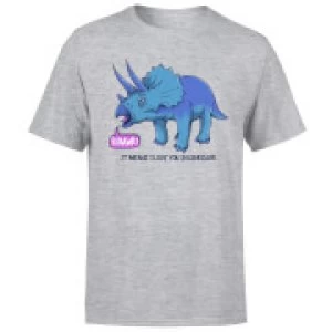 Image of Rawr It Means I Love You Mens T-Shirt - Grey - 5XL