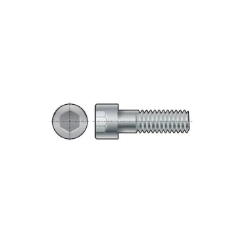 Image of M10X250 Skt Head Cap Screw (GR-12.9) - Qualfast