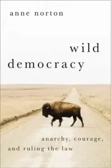 Image of Wild Democracy : Anarchy, Courage, and Ruling the Law