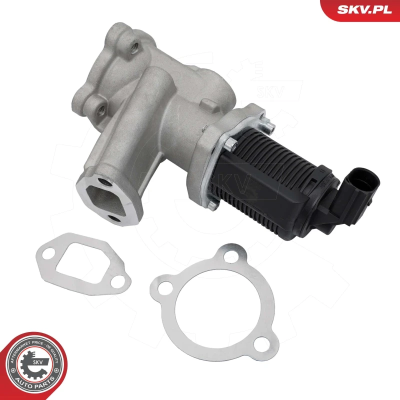 Image of ESEN SKV EGR valve ESEN SKV 14SKV314