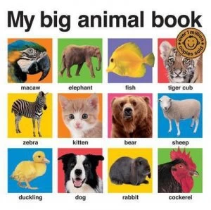 Image of My Big Animal Book by Roger Priddy Hardback