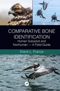 Image of Comparative Bone IdentificationHuman Subadult and Nonhuman - A Field Guide