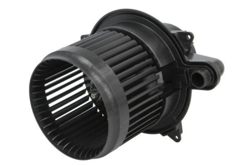 Image of THERMOTEC Blower motor THERMOTEC DDR025TT