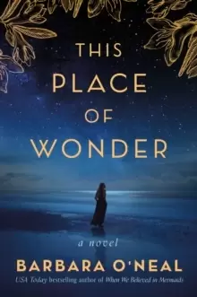 Image of This Place of Wonder : A Novel