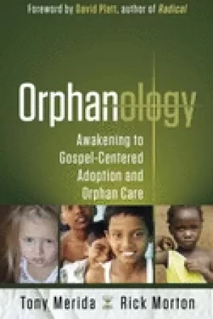 Image of orphanology awakening to gospel centered adoption and orphan care