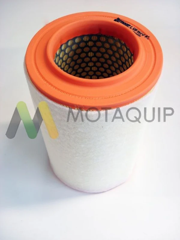Image of MOTAQUIP Air filter MOTAQUIP LVFA1442