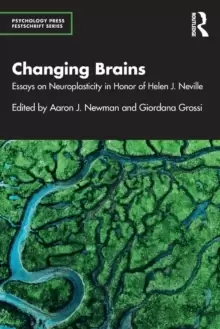 Image of Changing Brains : Essays on Neuroplasticity in Honor of Helen J. Neville