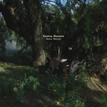Image of Sarah Davachi - Cantus, Descant Vinyl