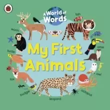 Image of My First Animals : A World of Words