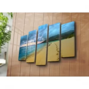 Image of 5NATPAT-4 Multicolor Decorative Canvas Painting (5 Pieces)
