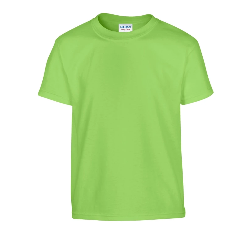 Image of Gildan GD05B boys's in Green