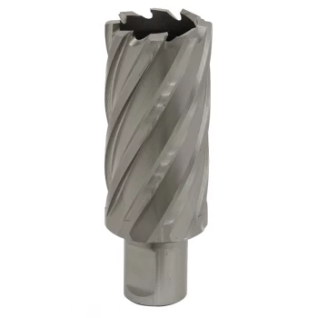 Image of Rotabor Cutter HSS 31MM - Cut Depth 50MM