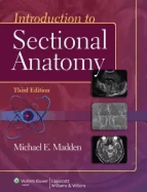 Image of introduction to sectional anatomy point