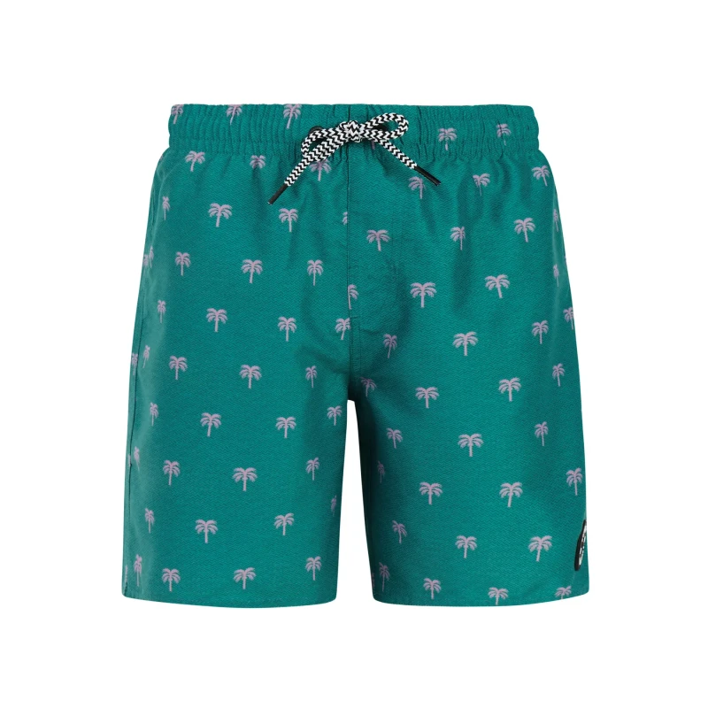 Image of Protest Children's swimming shorts Protest Calvin Bleu Male 16 ans
