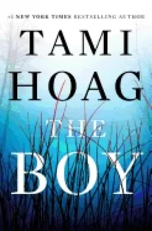 Image of boy a novel