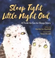 Image of Sleep Tight Little Night Owl : A Time-to-Go-to-Sleep Story